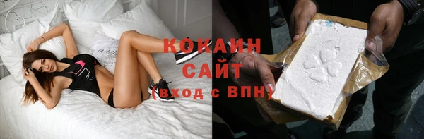 apvp Алзамай