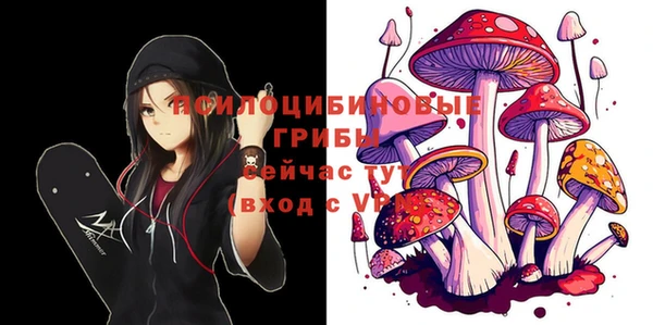 apvp Алзамай