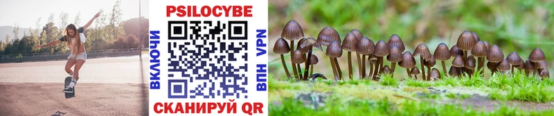 купить наркоту  Ижевск  Галлюциногенные грибы Cubensis 